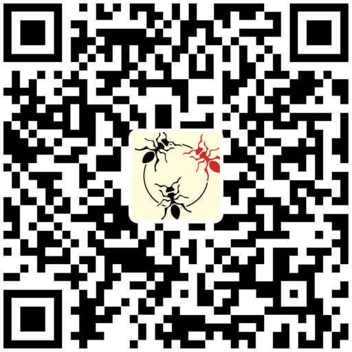 qr-code-Principal-512x.png